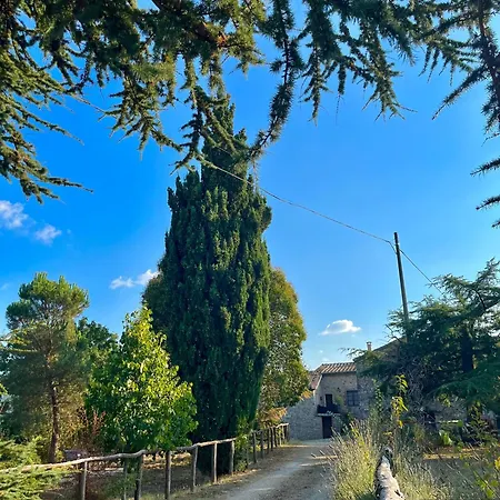 Borgo Petraio * Montieri
